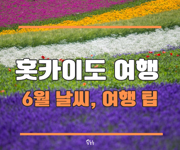홋카이도 여행