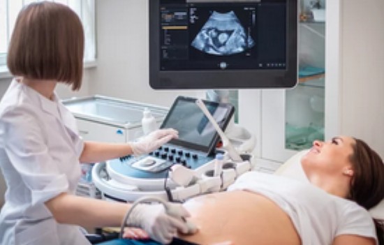 임신 초기증상3