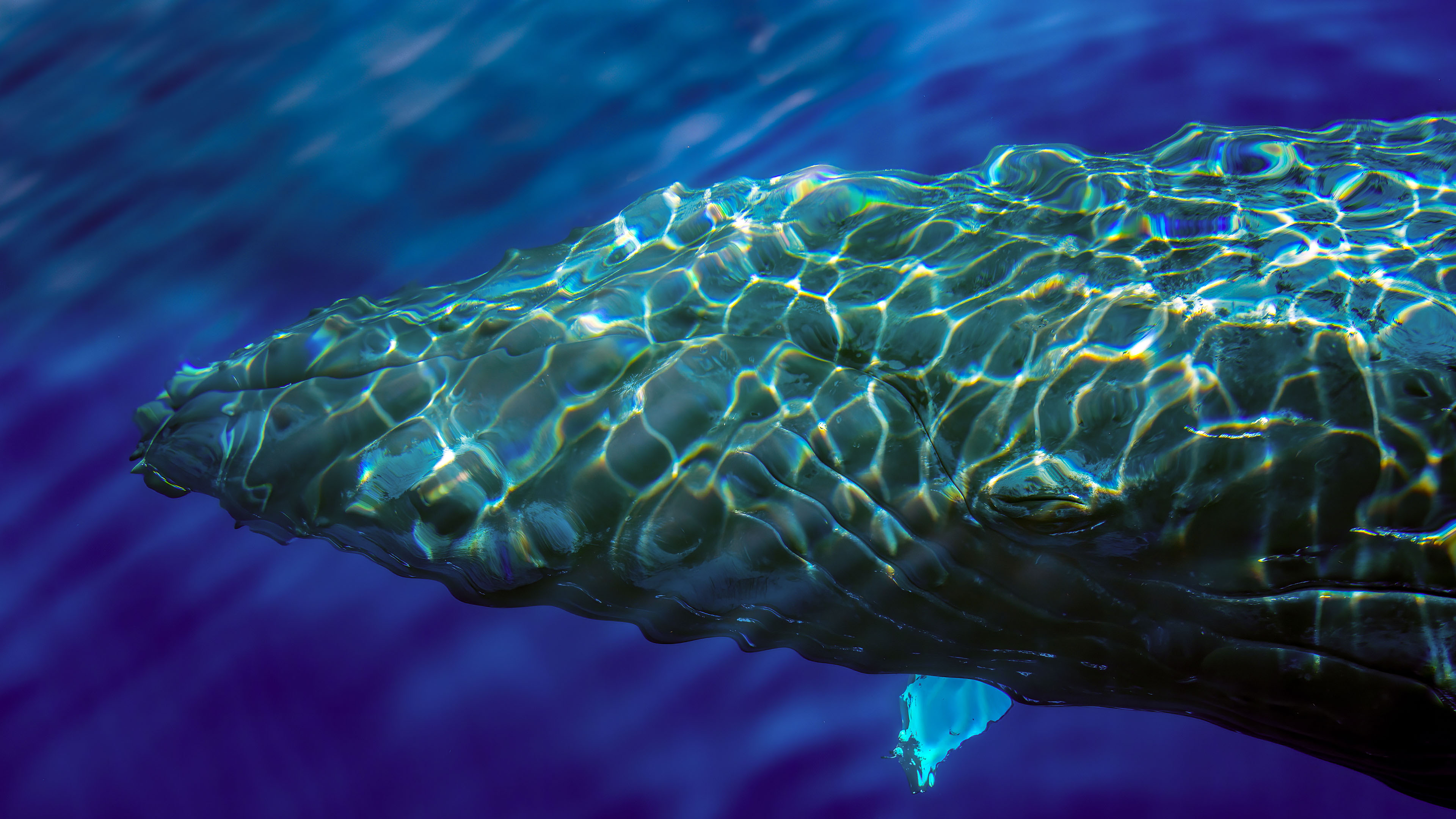 irp퇴직연금 수령방법