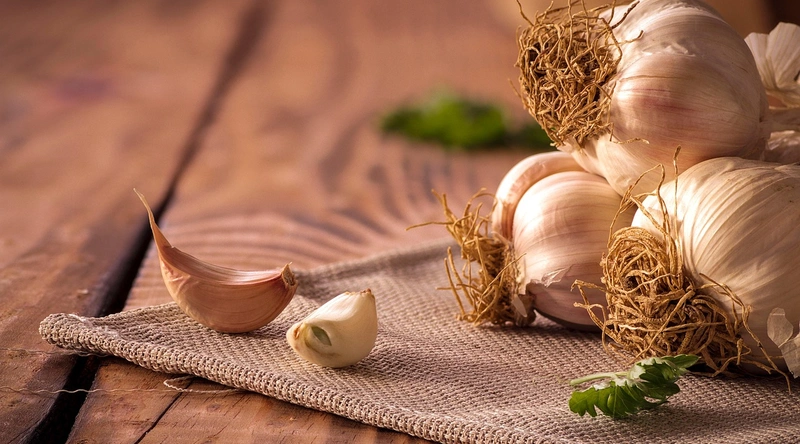 전선 점검 시 유의사항