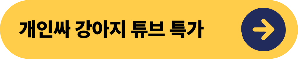 반려견동반계곡