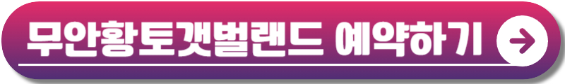 무안 연꽃축제
