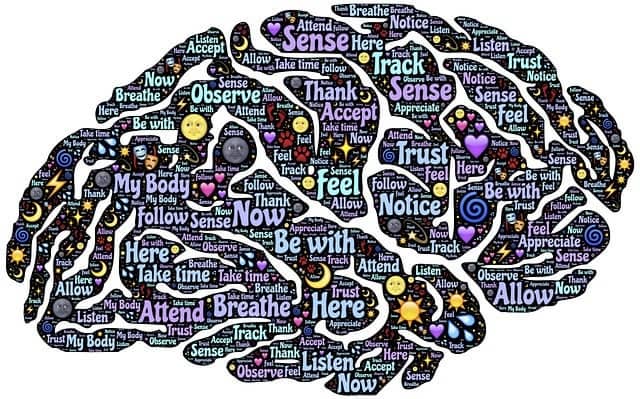 위고비 부작용 초기 증상과 대처법 &ndash; 안전하게 사용하는 방법