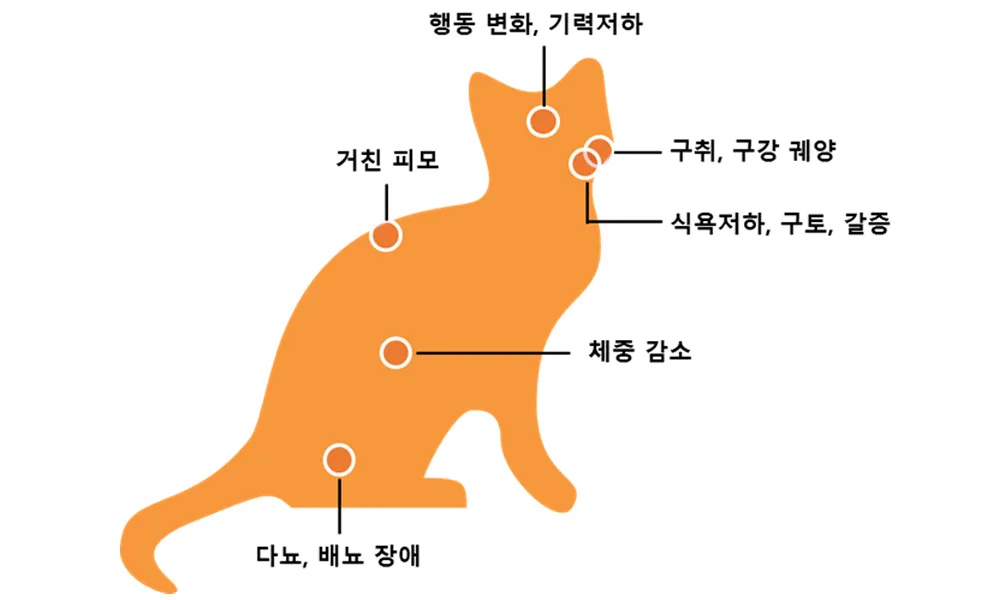 고양이 갑상선 기능 항진증 원인 증상 수치 관리법 총정리 정리자료_7