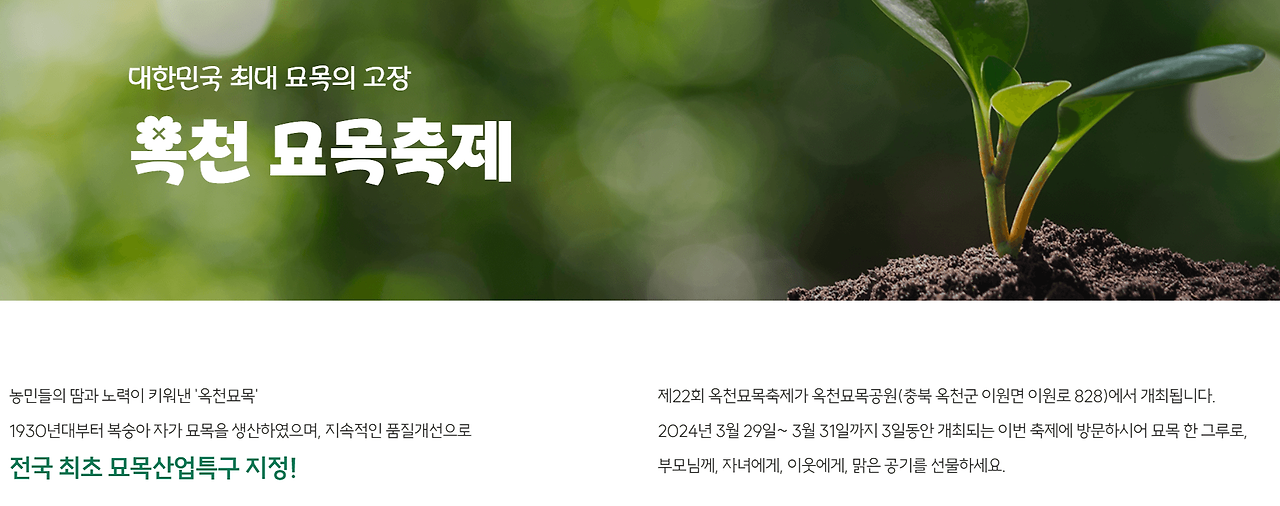 3월 꽃축제 봄꽃축제 추천