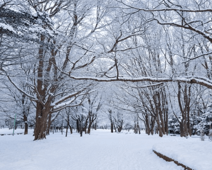 겨울 해외여행 추천
