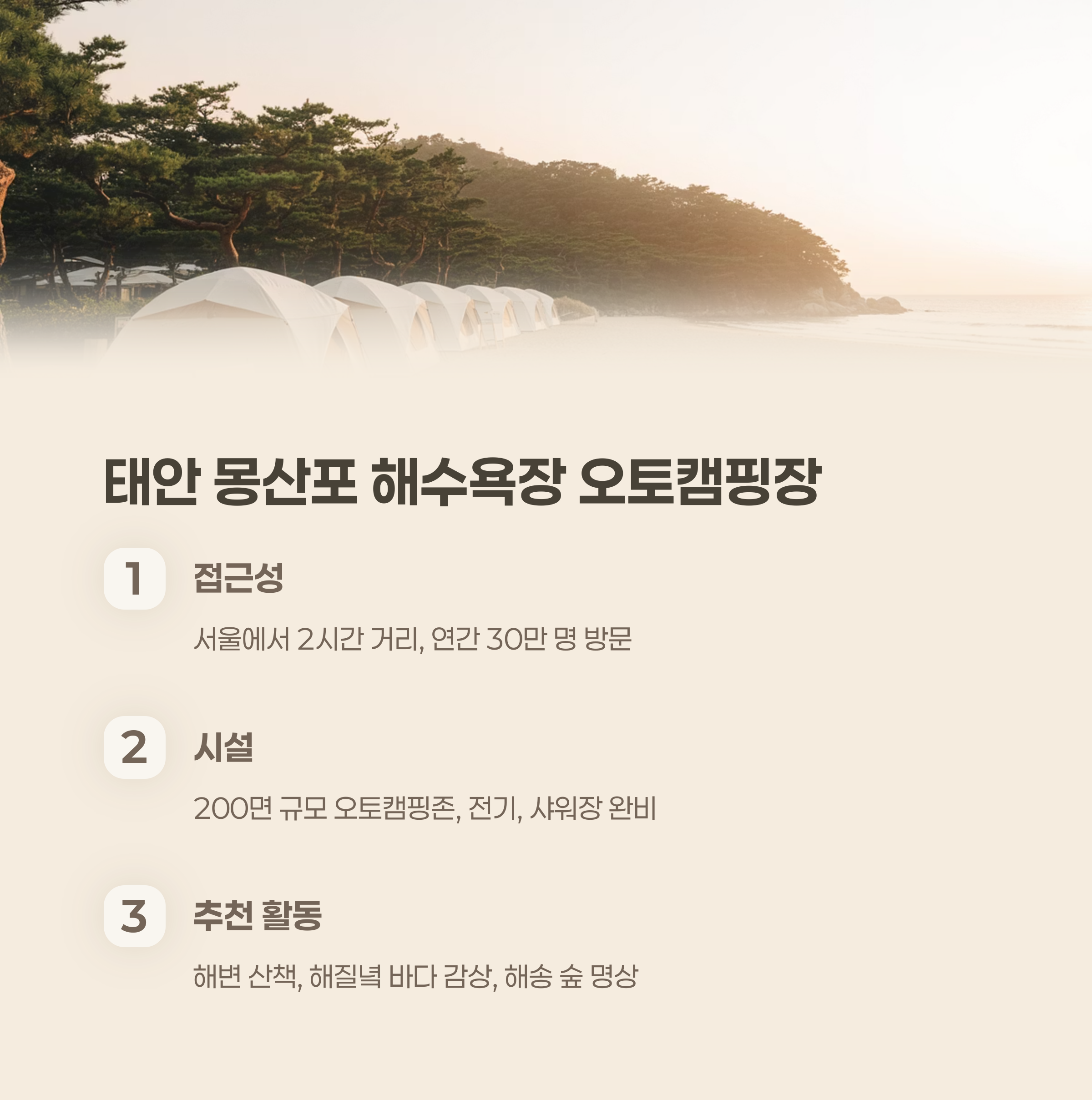 충남 태안 몽산포 해수욕장 오토캠핑장