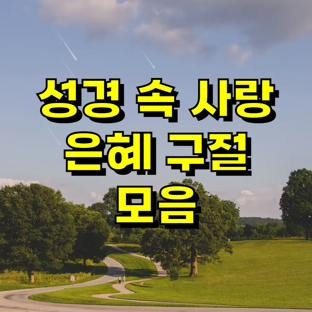 성경 속 사랑 은혜 구절 모음