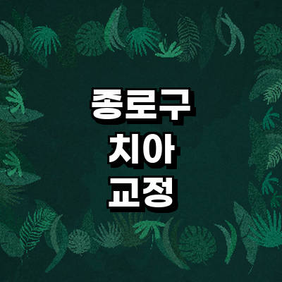 서울 종로구 교정 치과