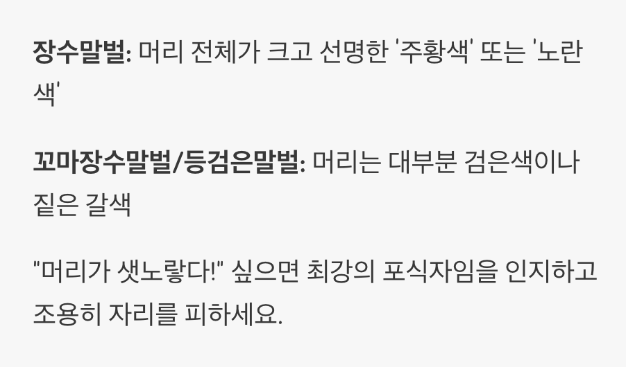 2. 첫 번째 단서, 왕의 얼굴은 '노란색'이다