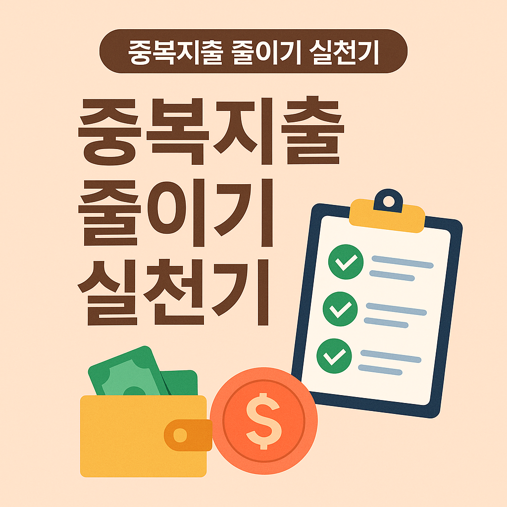 중복지출 줄이기 실천기