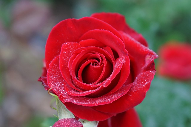 장마 예상 기간 2025년 바로 보기 21