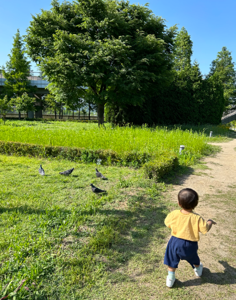 5월부터 대유행! 영유아 수족구병 초기 증상, 잠복기, 전염 기간 및 수족구에 좋은 음식 총정리 가이드