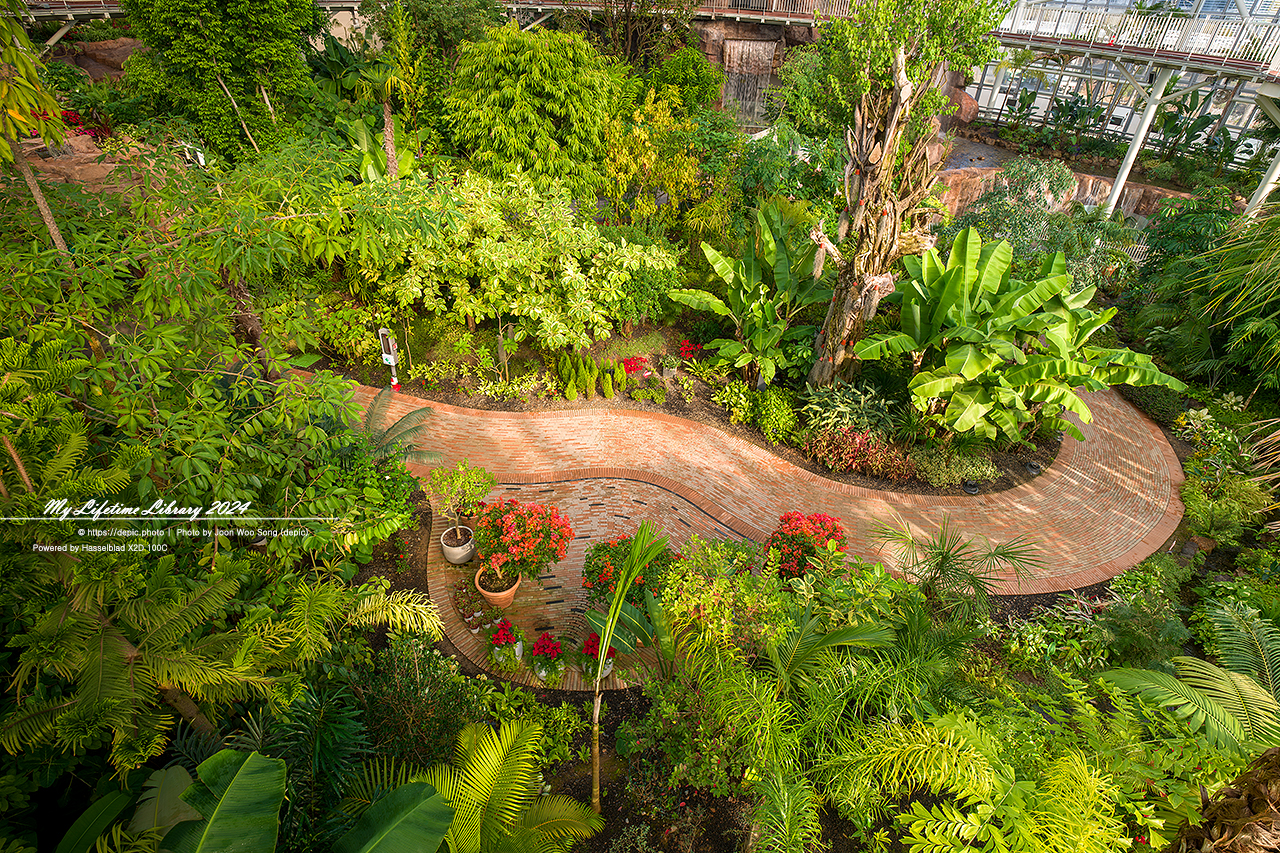 순천만국가정원 식물원