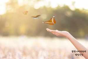 함평나비축제 예매 입장료 기간