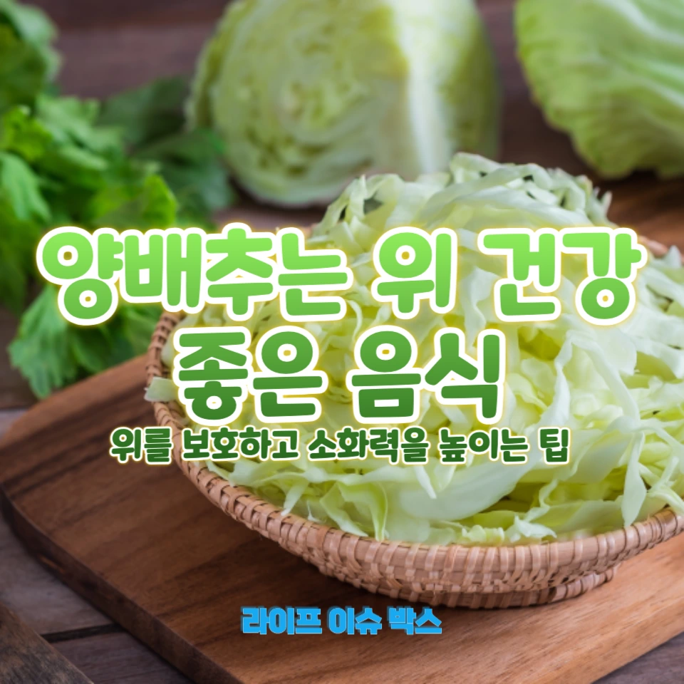 양배추로 위 건강