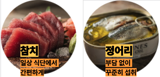 오메가3 많은 정어리