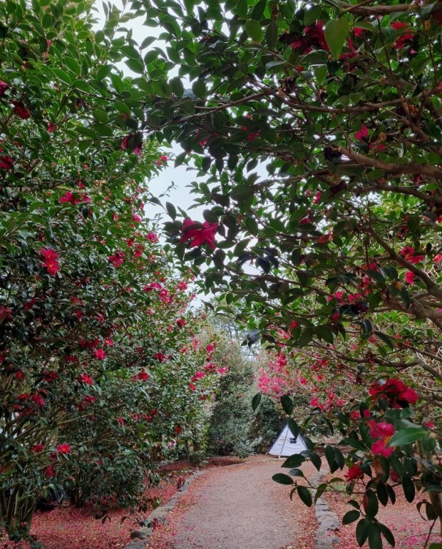 제주도 가볼 만한 곳 10곳