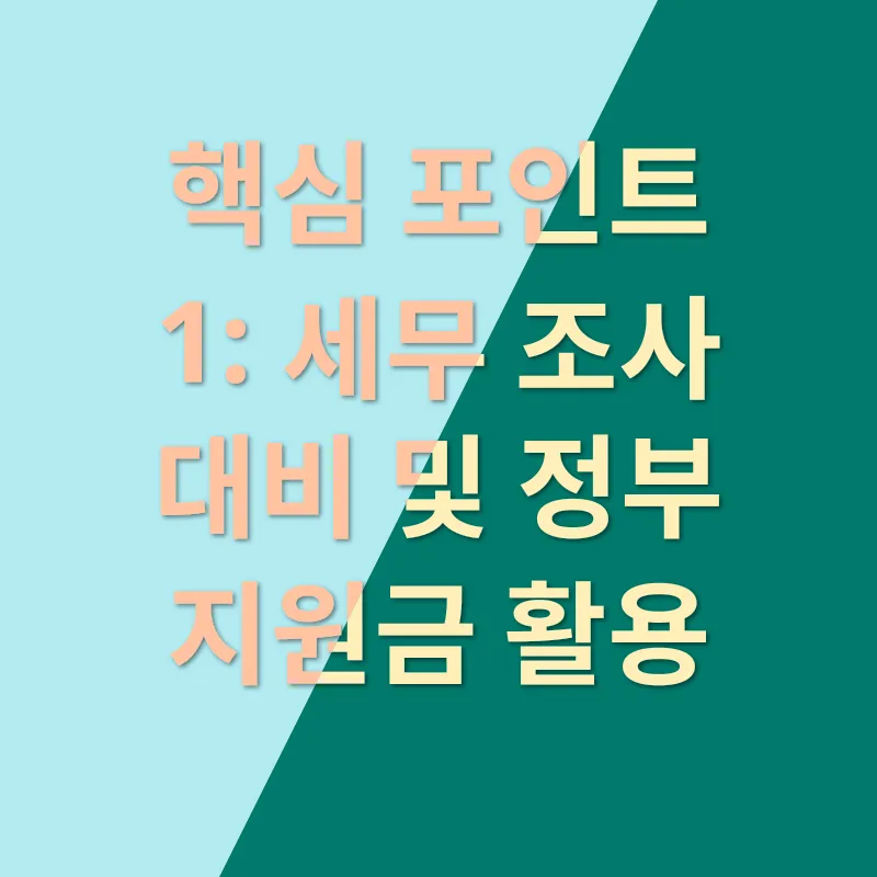 세무 전문가 활용_2