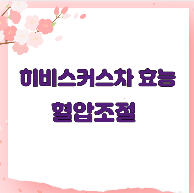 히비스커스차 효능 혈압조절