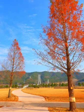 상주 가볼만한곳 맛집 추천 카페 겨울 베스트 10_24