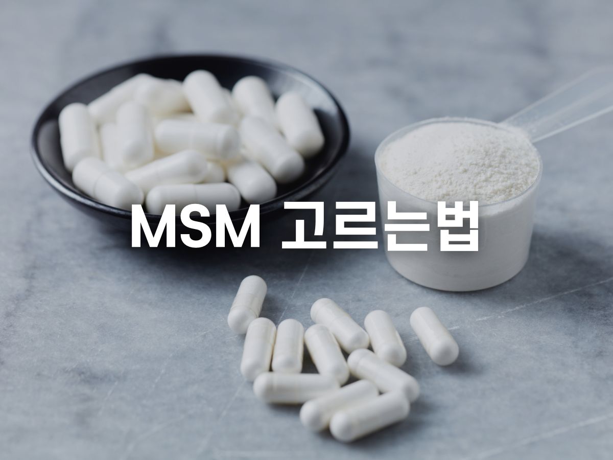 MSN 관절 영양제 고르는법