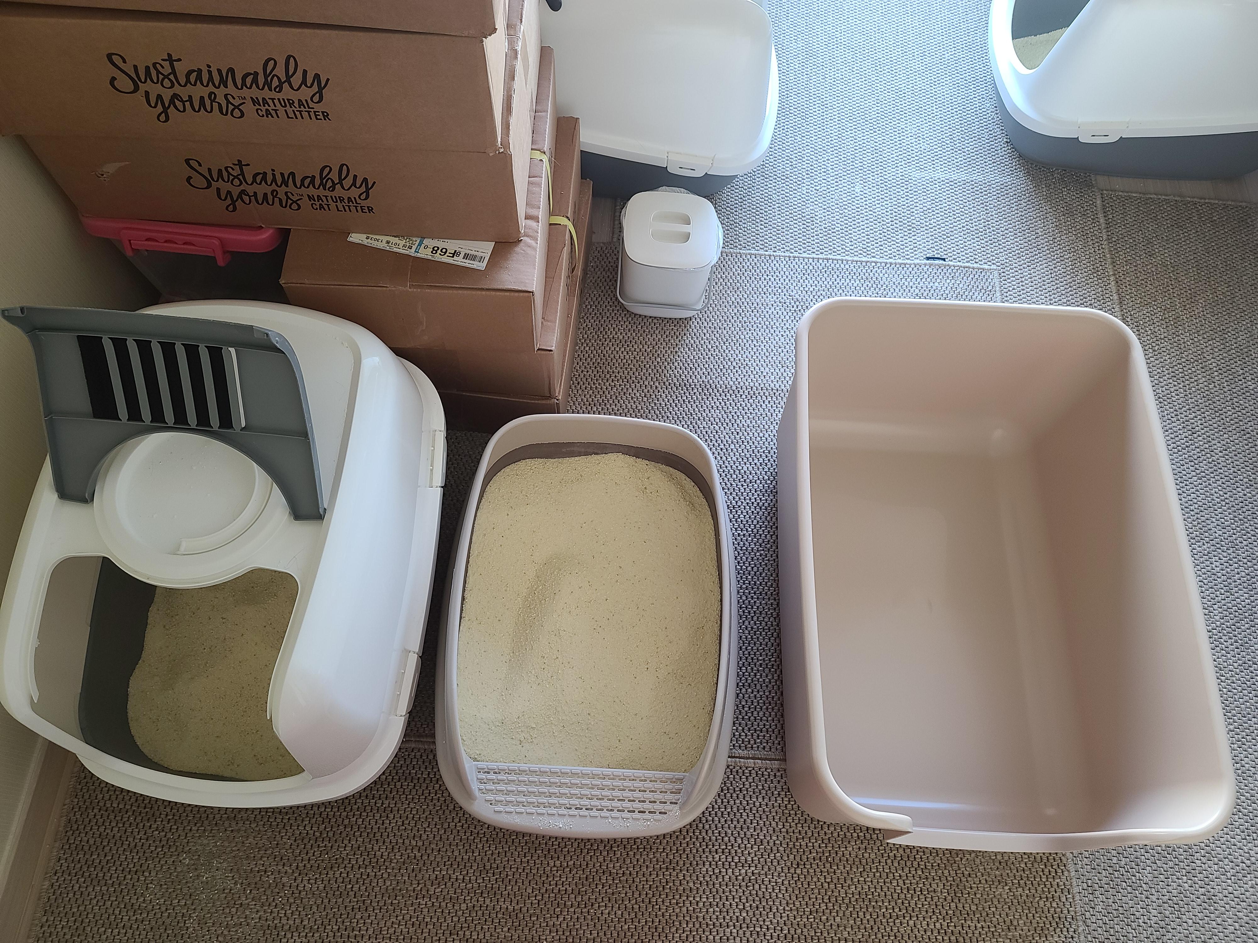 고양이 모래와 화장실의 중요성. 고양이 화장실 변천사