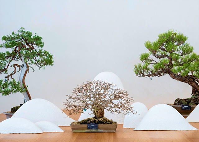 화담숲 예매 예약 입장료 후기