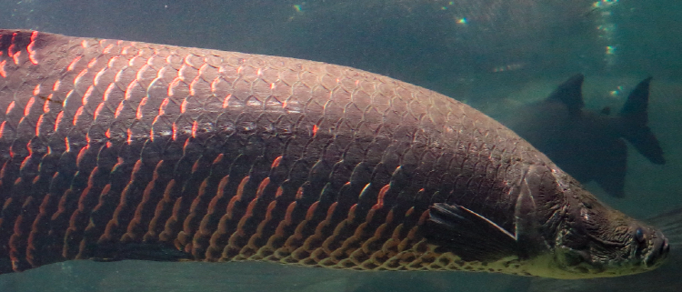 사천 아쿠아리움