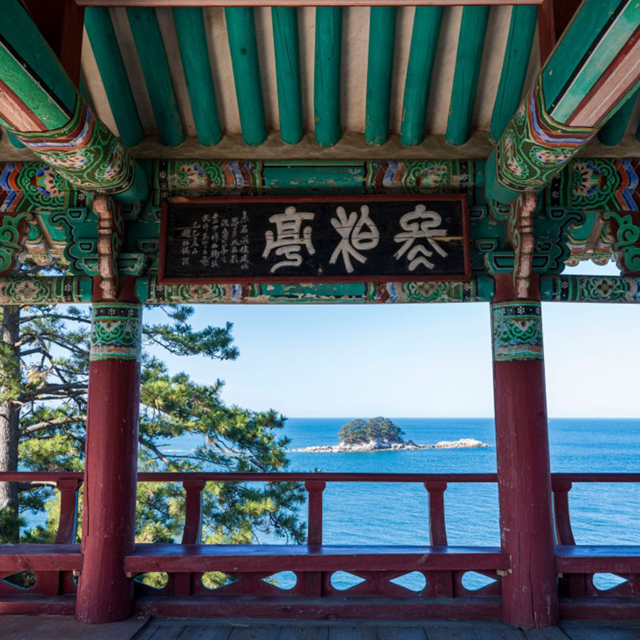 마량리동백나무숲