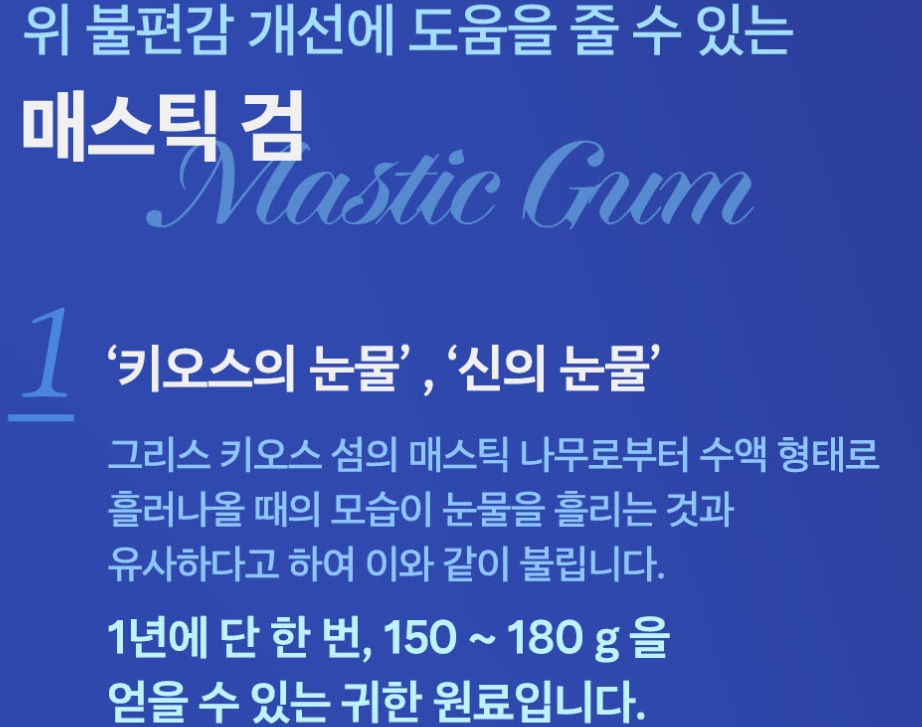 매스틱검