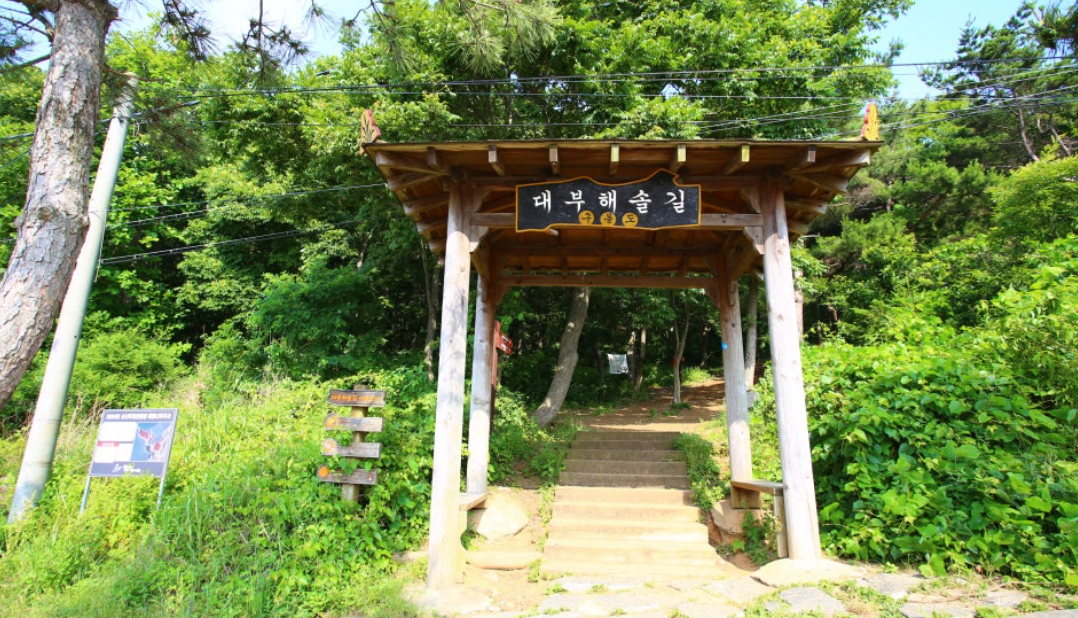 안산 대부해솔길