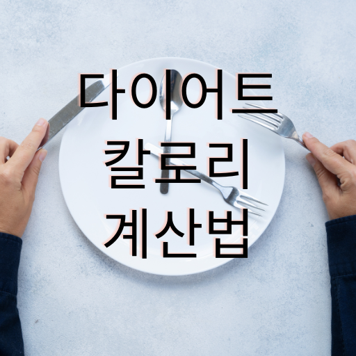 다이어트 살 빼는 체중 감량 칼로리 계산 방법