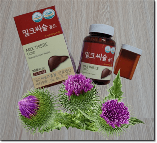 엉겅퀴꽃과 밀크씨슬