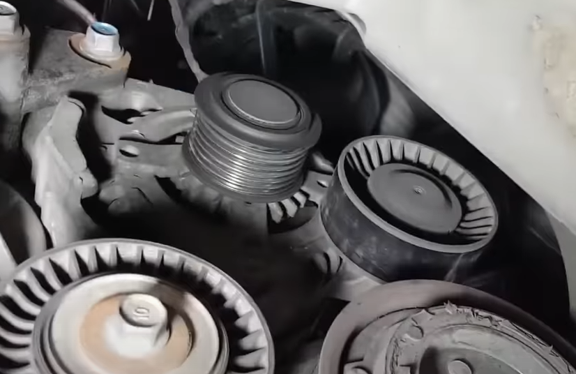 베라크루즈-겉벨트-베어링