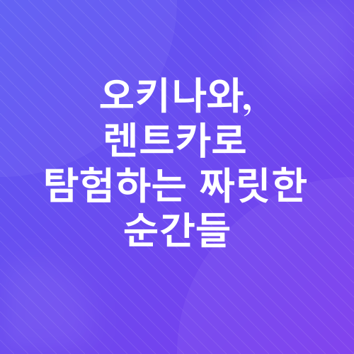 오키나와 렌트카 할인_4