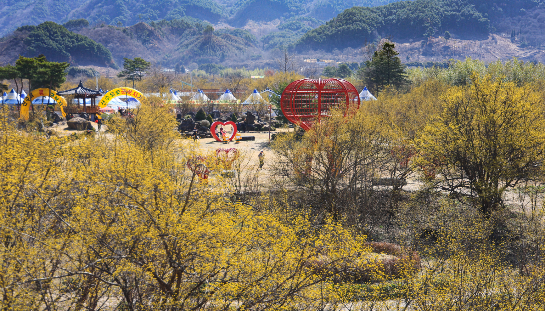 구례 산수유축제