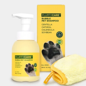 2023 반려인 능력시험