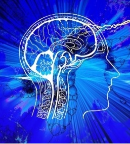 포스파티틸세린 두뇌 영양제