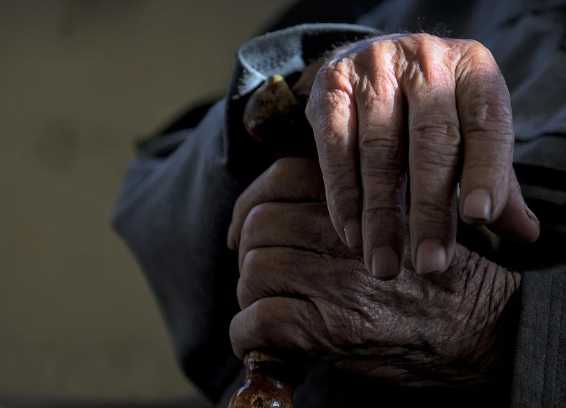 노화 방지를 위한 항산화 습관 (폴리페놀, 비타민, 항산화 식품)