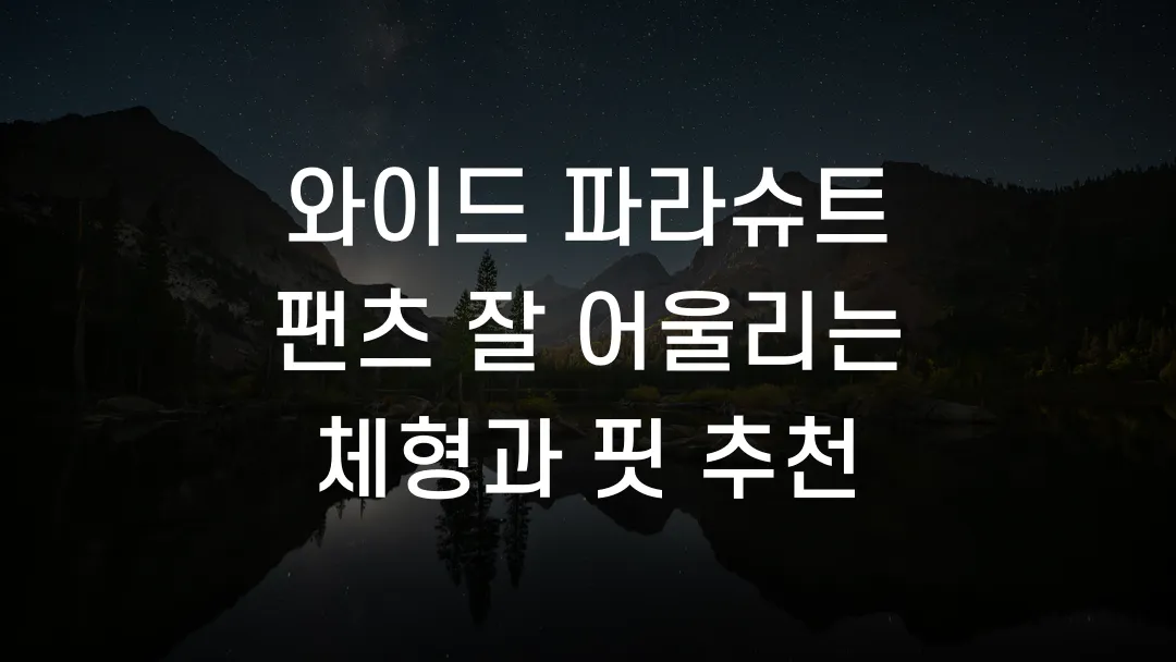 와이드 파라슈트 팬츠 잘 어울리는 체형과 핏 추천