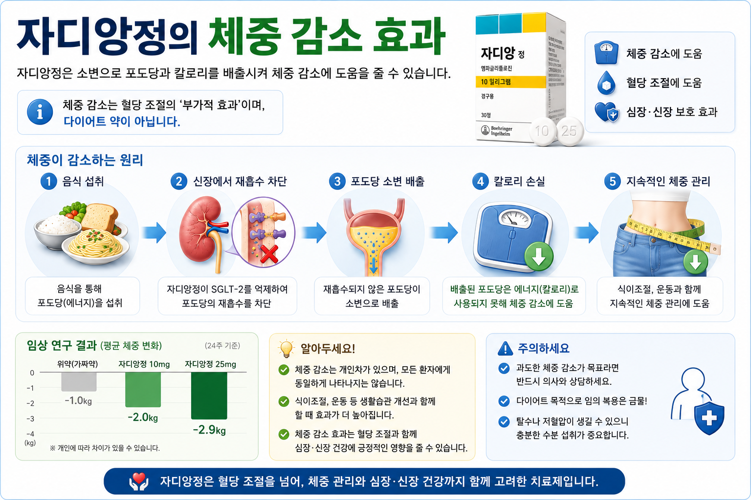 자디앙정-체중감소-효과-다이어트-혈당조절-인포그래픽
