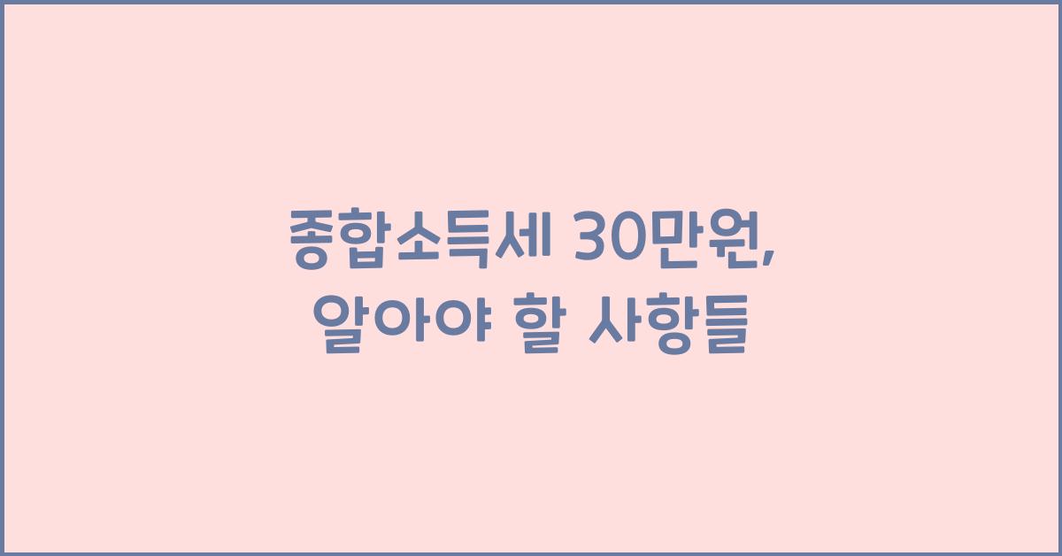 종합소득세 30만원
