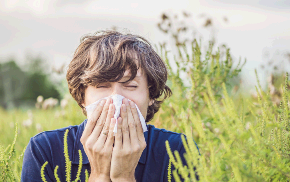 알레르기 완화할수 있는 방법 비염에좋은음식