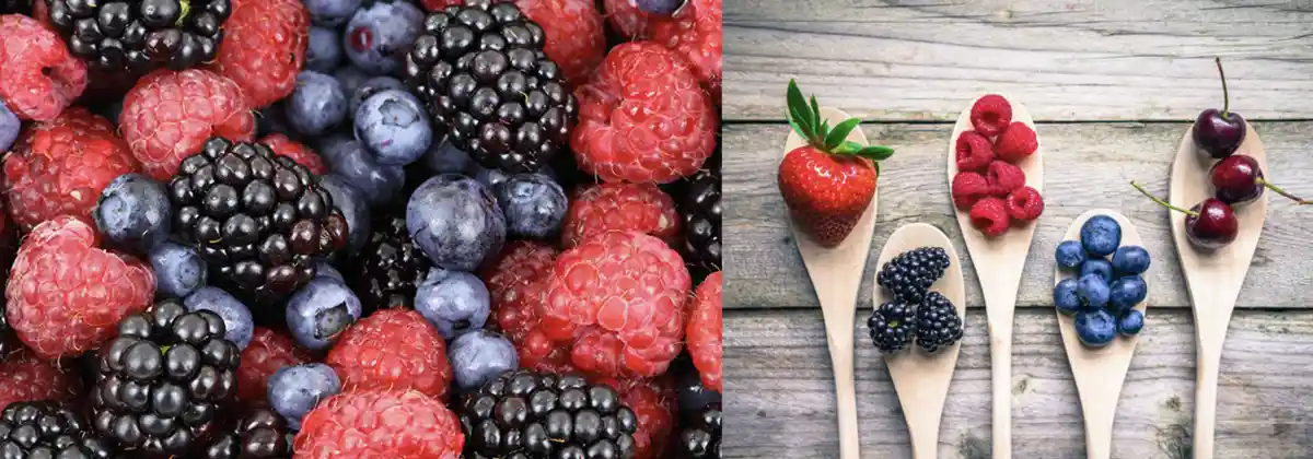 베리류-블루베리-산딸기-딸기-체리
