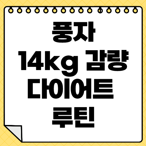 풍자 삭센다·위고비 14kg 감량 다이어트 루틴