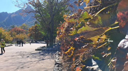 설악산_단풍여행_총정리