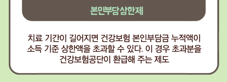 본인부담상한제