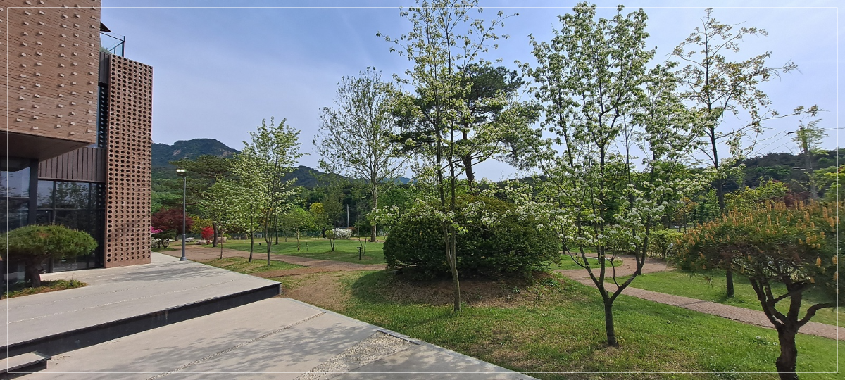 스타벅스-더북한산점-정원-산책로