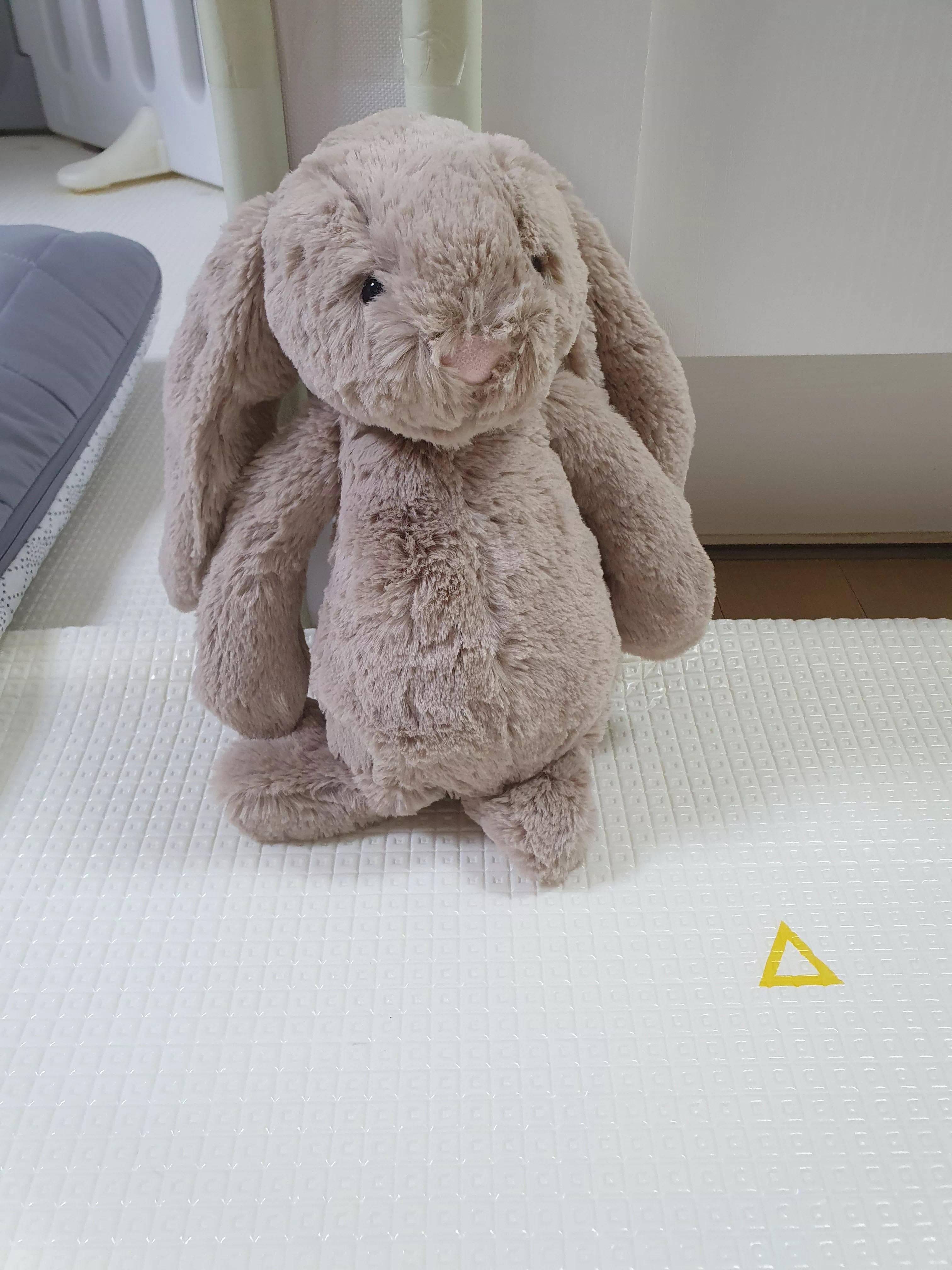 젤리캣 버니 세탁 전